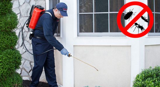 Kızılırmak Fare İlaçlama böcek ilaçlama ve haşere kontrolü — ilaclama-tr.com